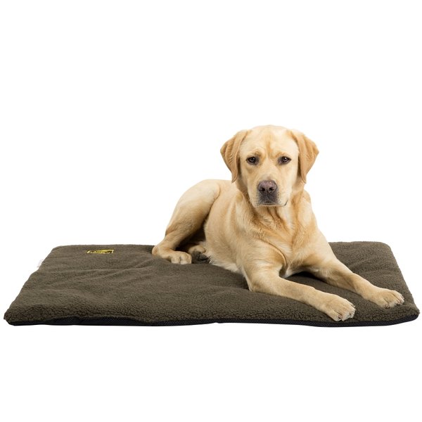 Hubertus Gold ® Hunde-Decke